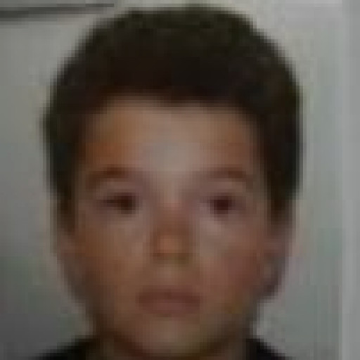 Manohé Donnaint Bertin